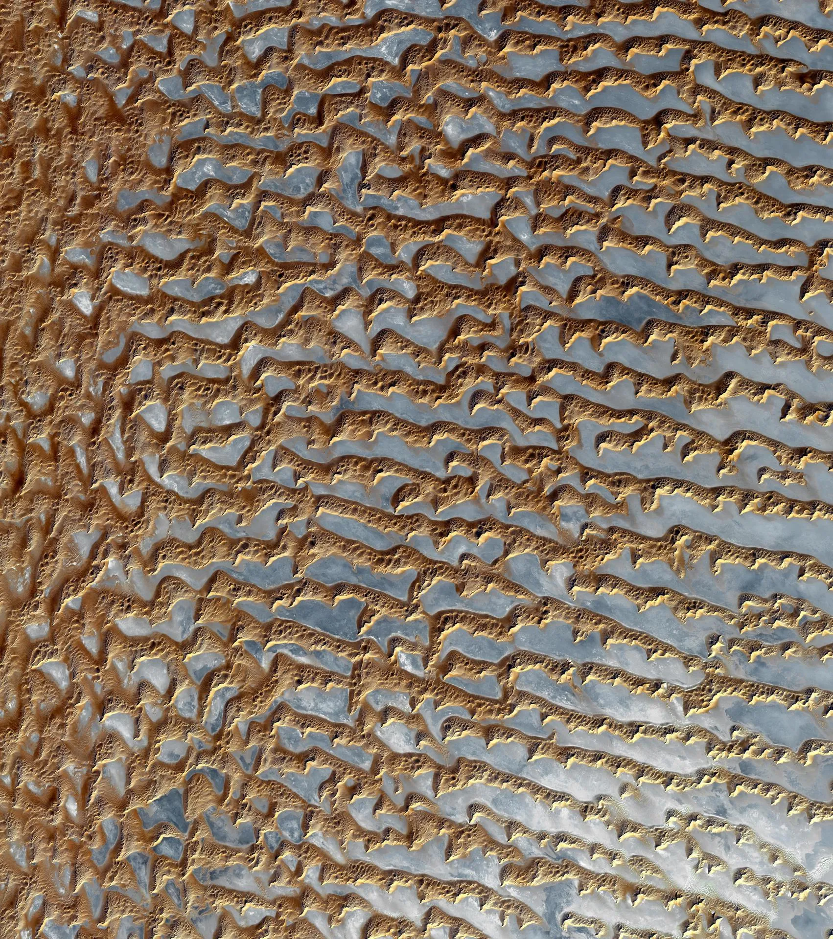 Wind-sculpted dune field of the Arabian Desert seen from orbit