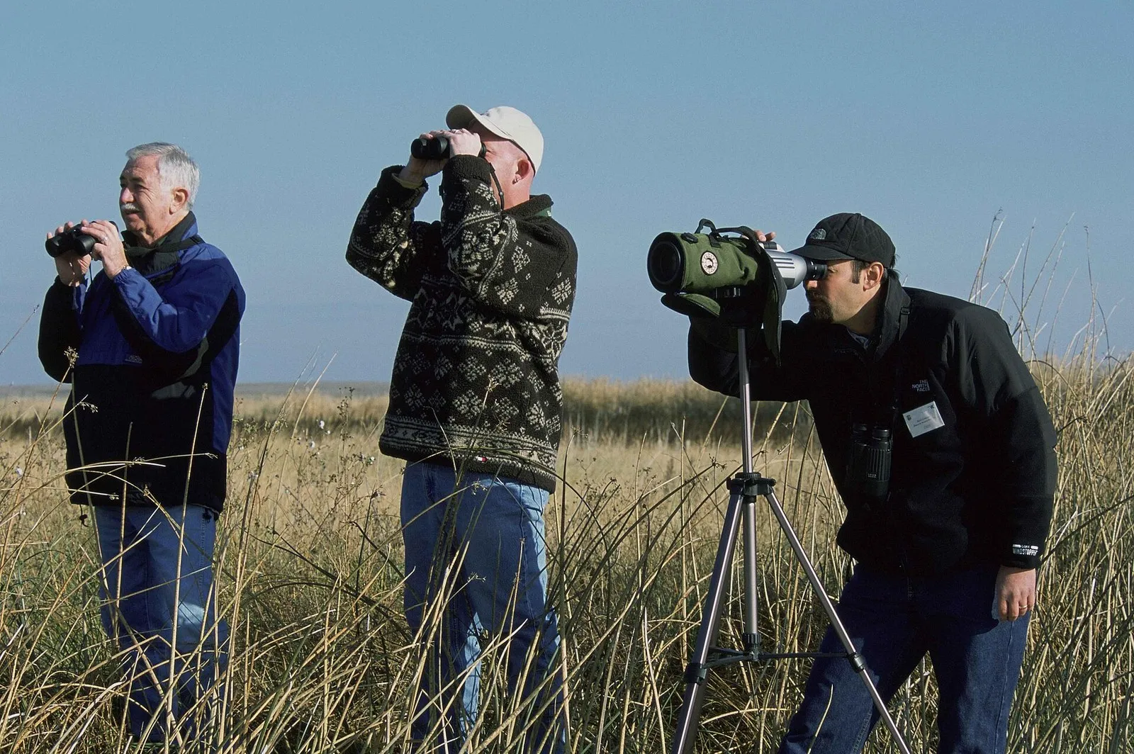 Three birdwatchers scanning a grassland with binoculars and a spotting scope