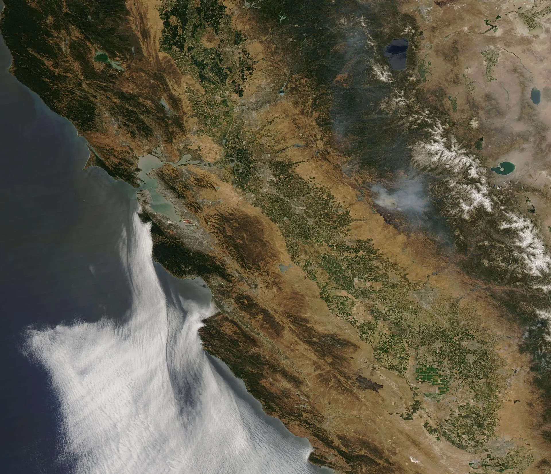 Satellite view of wildfire smoke streaming off the California coast
