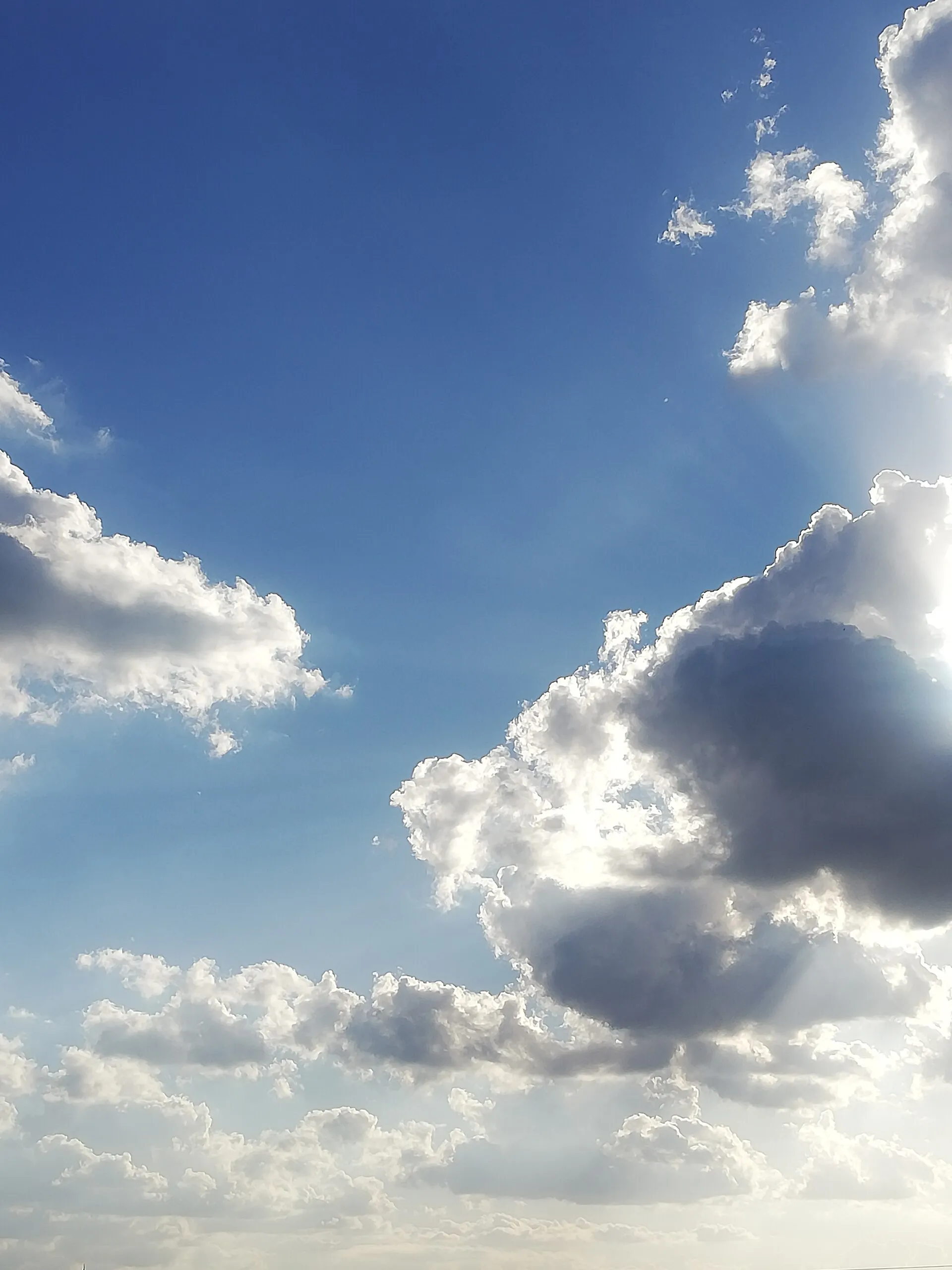 Puffy cumulus clouds drifting in a bright blue sky