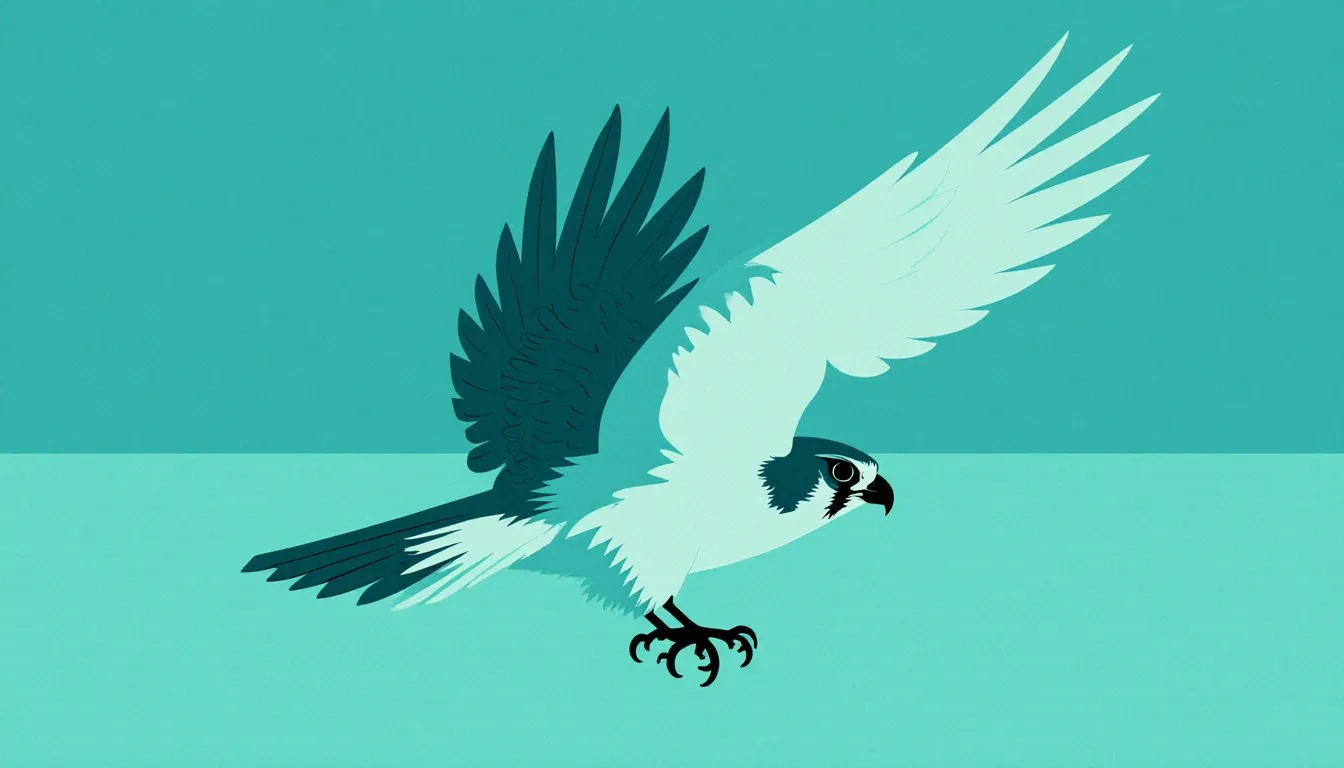 A falcon in flight with pointed wings, a hooked beak, and curved talons tucked beneath its body.
