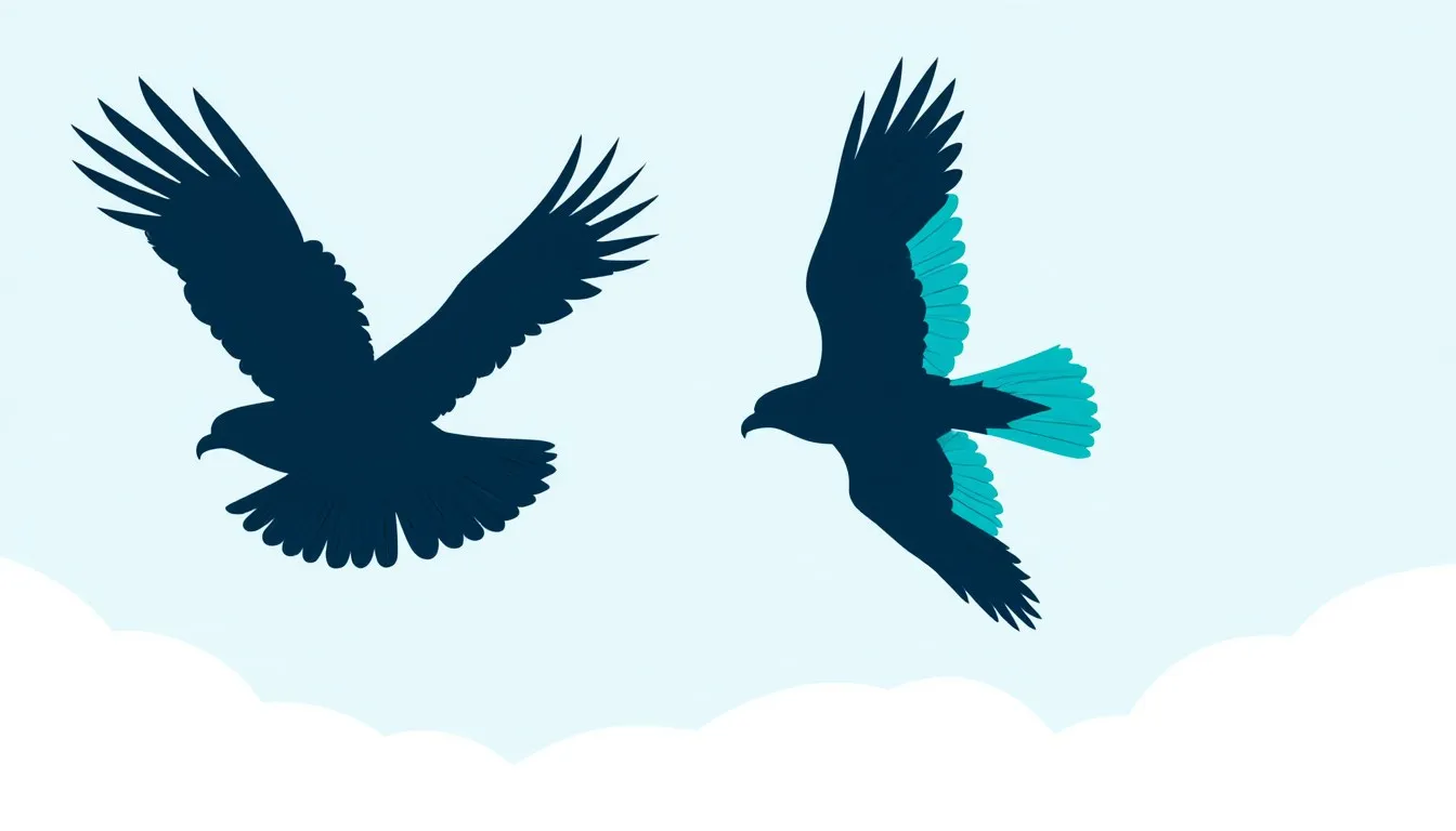 Silhouettes of a broad-winged hawk and a slim, pointed-winged falcon gliding side by side, highlighting their different wing