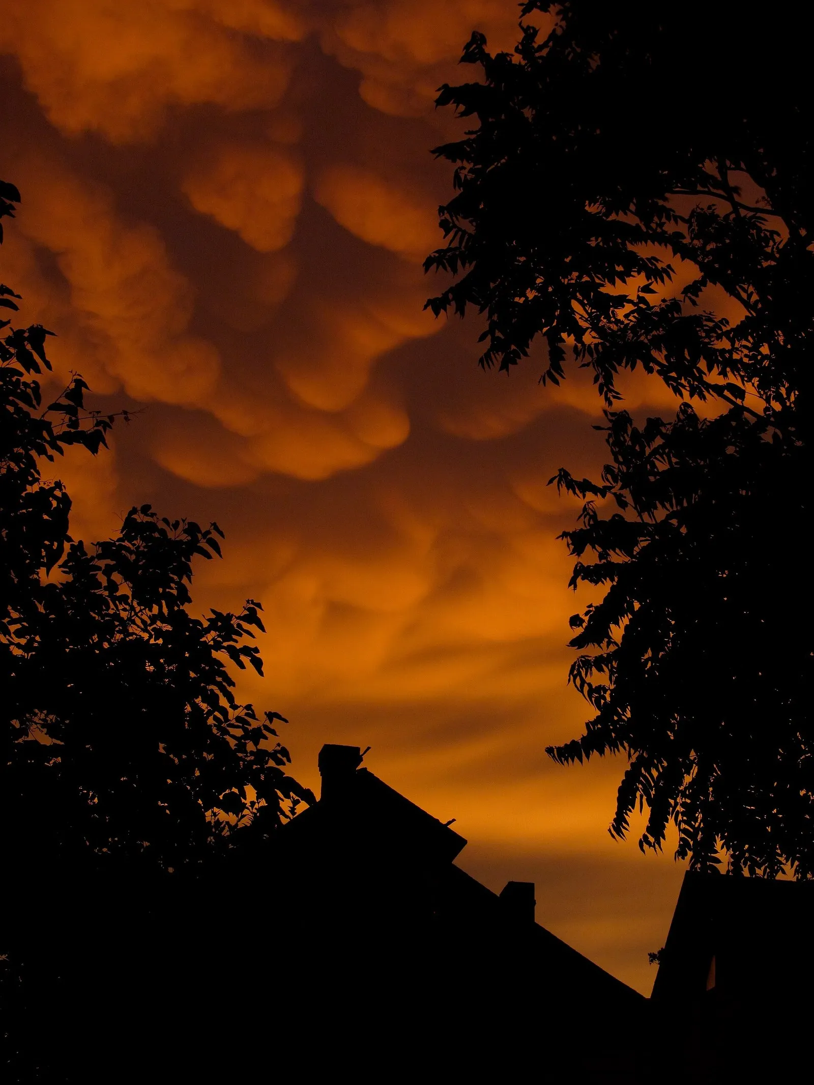 Mammatus cloud pouches glowing orange at dusk above silhouetted rooftops and trees