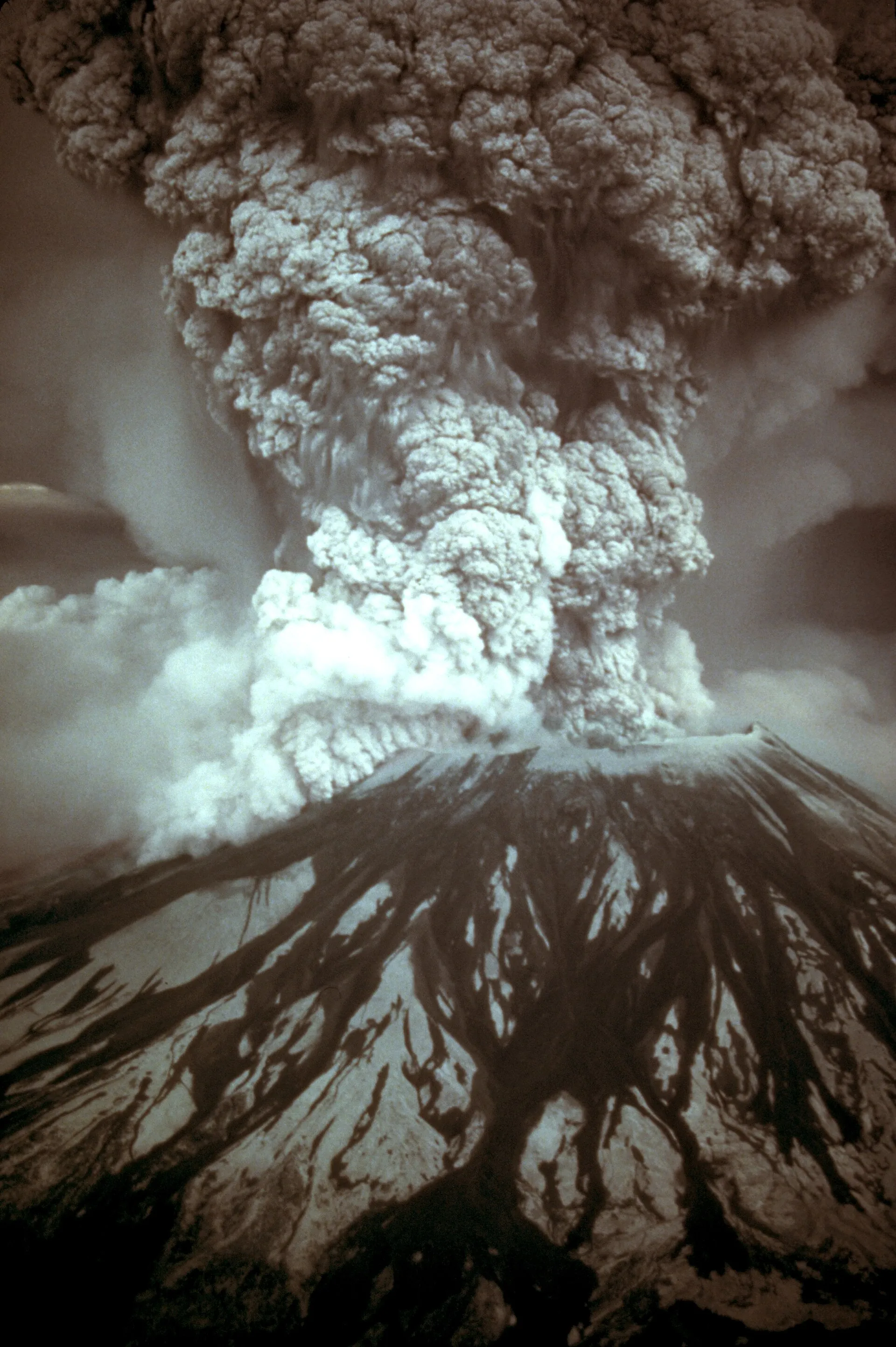Massive ash column erupting from Mount St. Helens in 1980