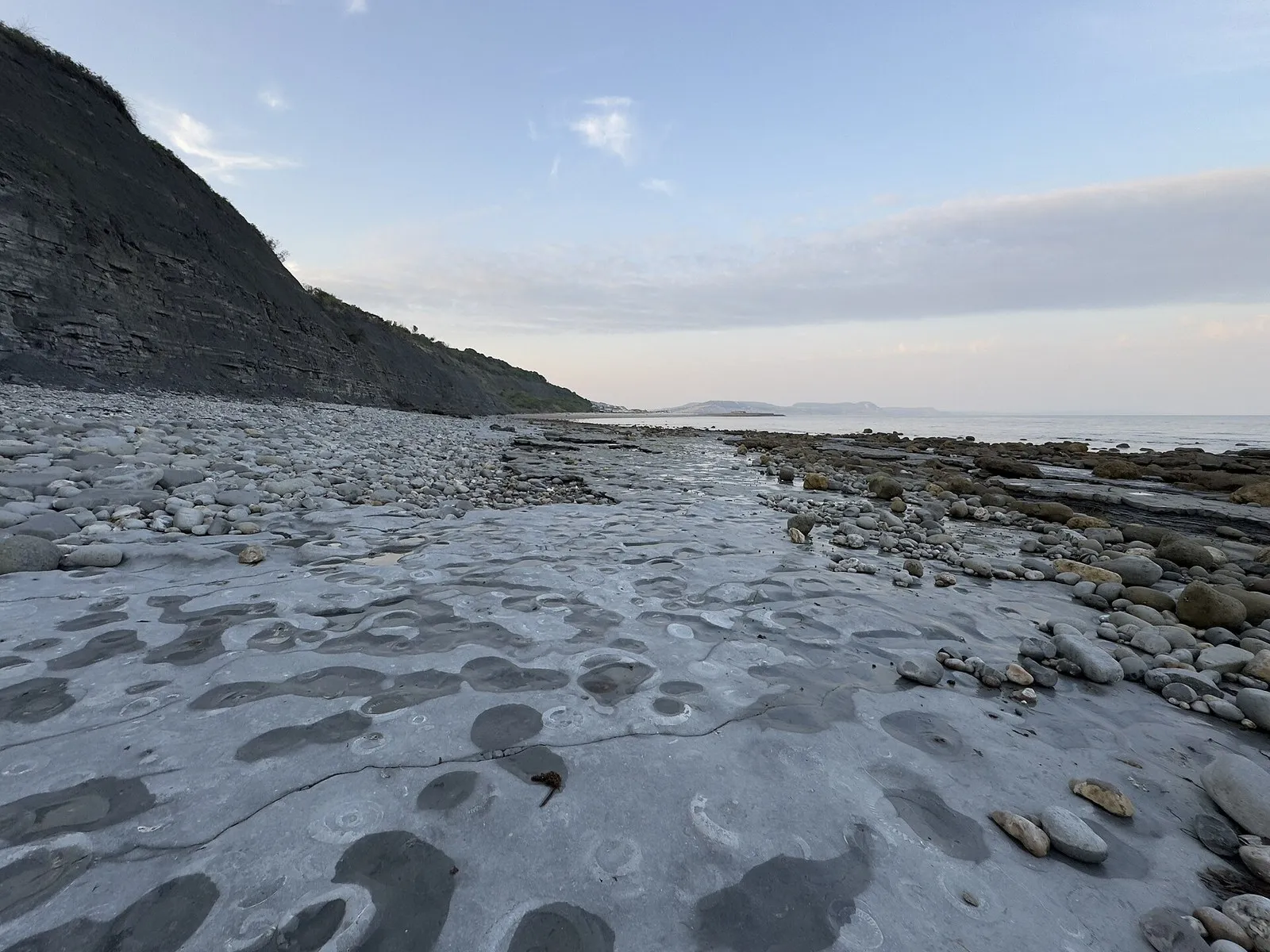 Ammonite fossils embedded across a grey limestone shore ledge beneath coastal cliffs