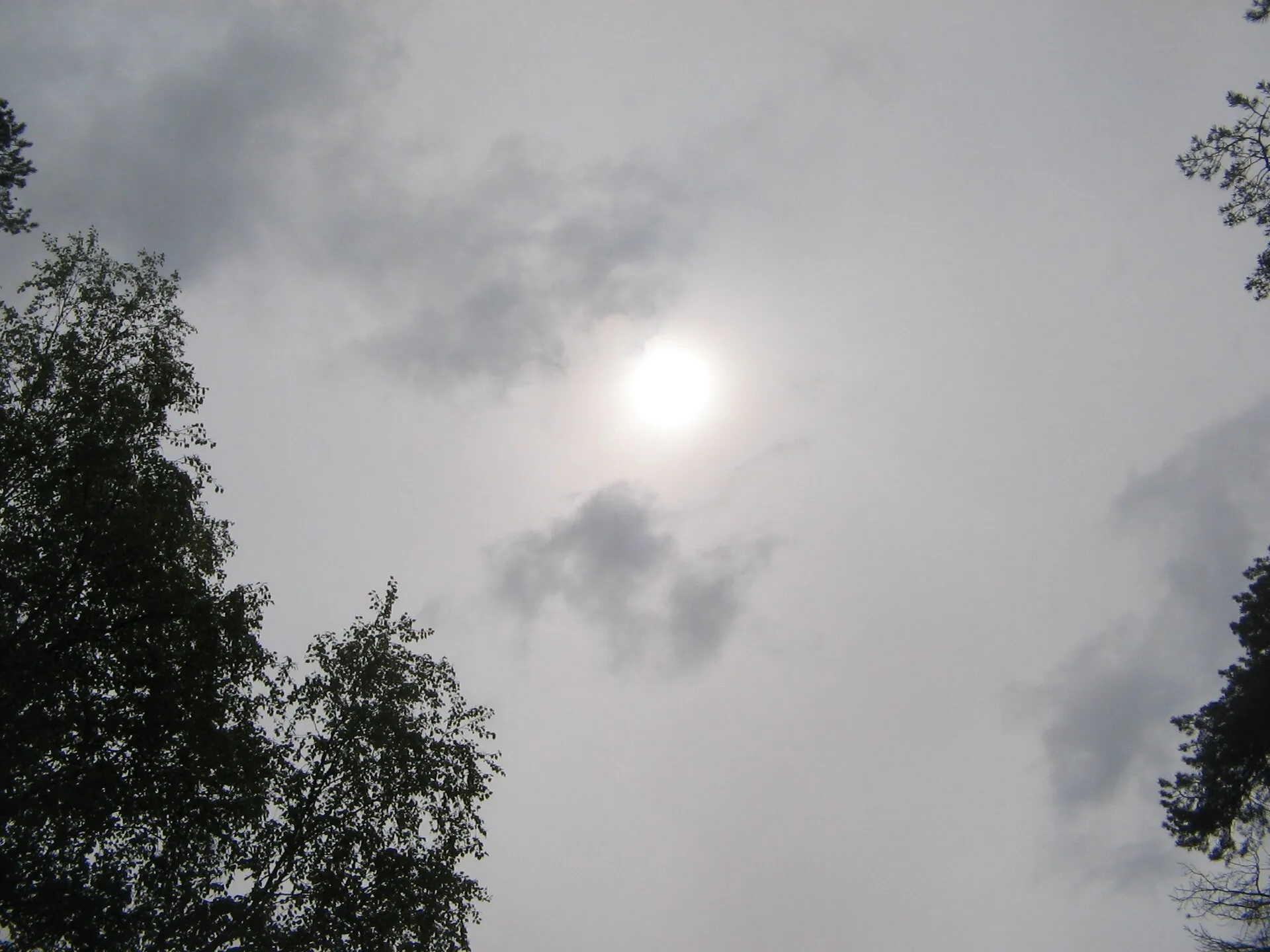 Sun glowing dimly through a grey altostratus cloud veil