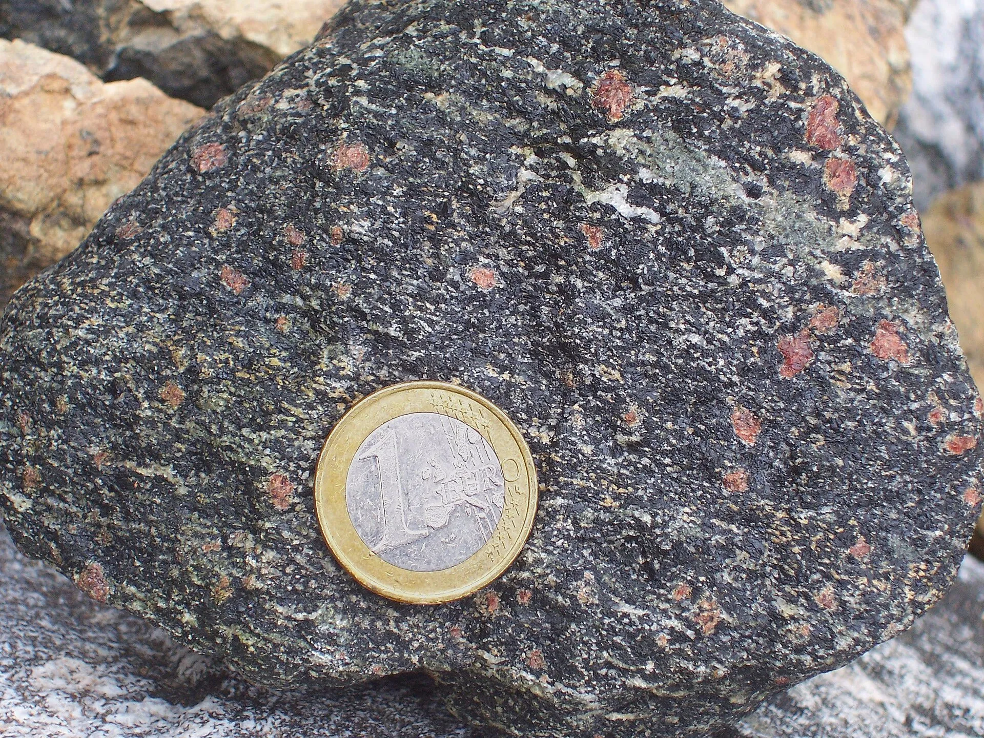 Dark metamorphic rock studded with red garnet crystals beside a coin for scale