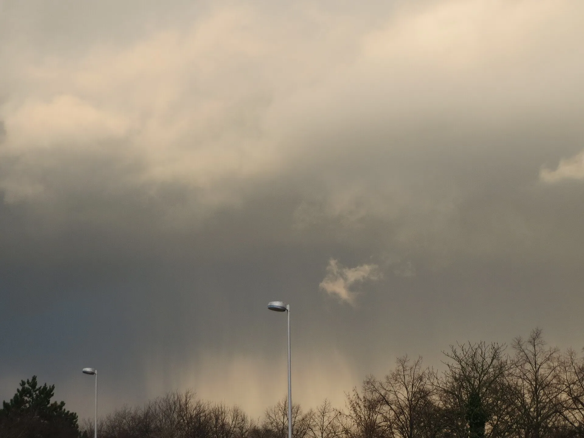 Grey nimbus rain clouds releasing a curtain of rain over trees