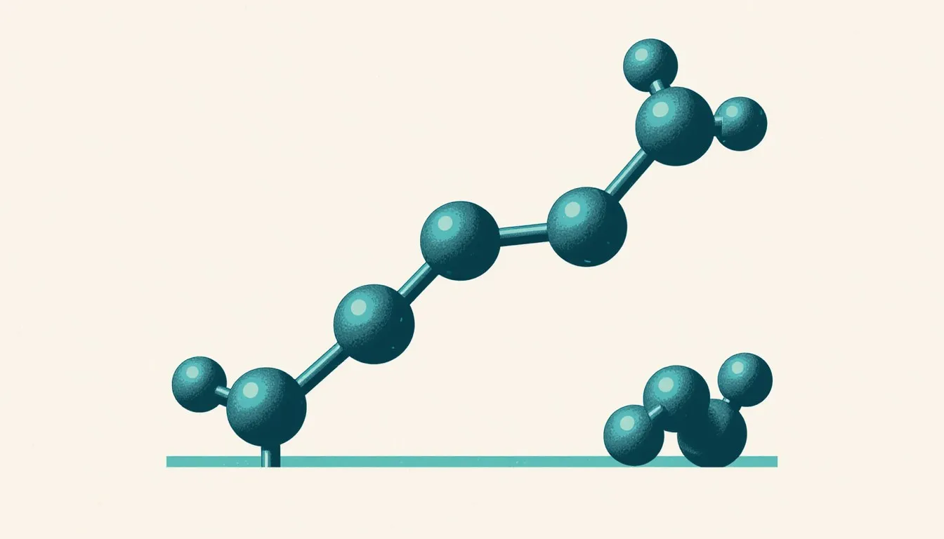 Ball-and-stick models of a chain-shaped hydrocarbon molecule beside a ring-shaped hydrocarbon molecule
