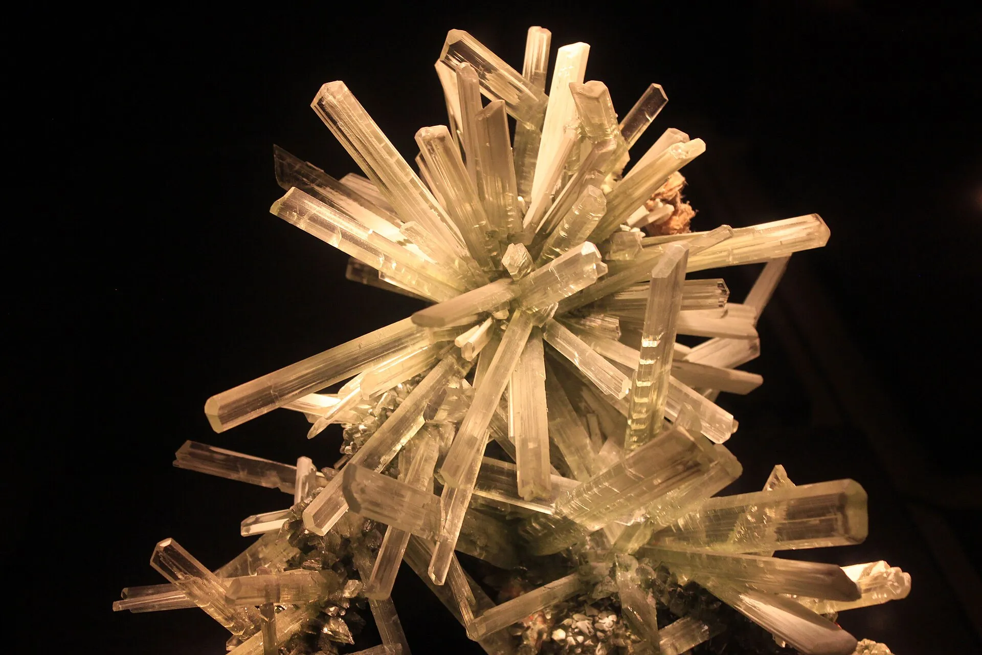 Radiating cluster of golden selenite gypsum crystals