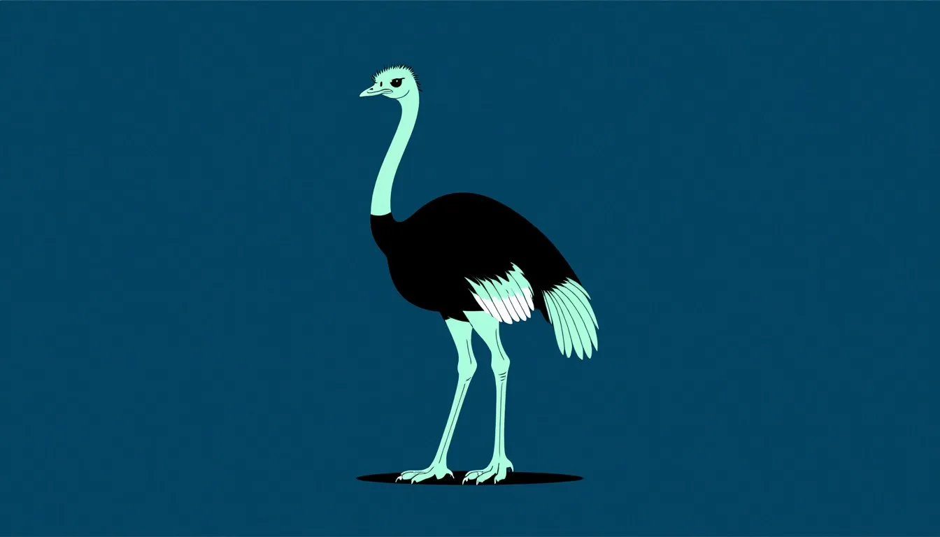 An ostrich in full profile, showing its long neck, small head, and powerful legs.